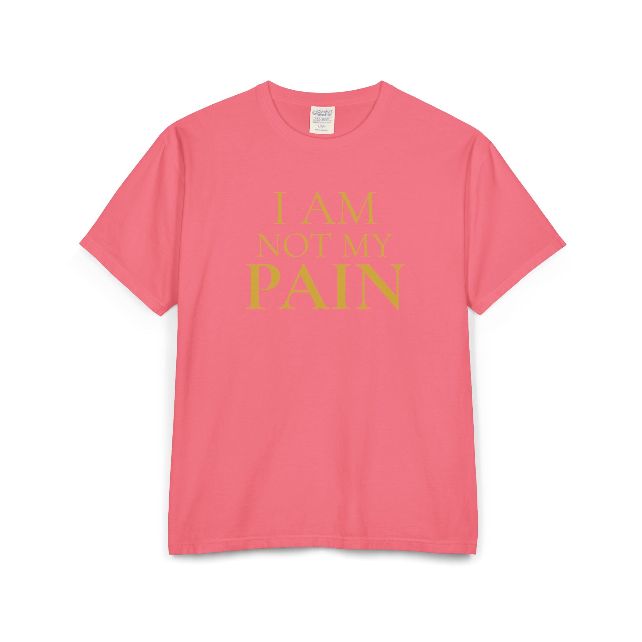 I AM NOT MY PAIN T-Shirt — Inspirational Mental Health Reminder