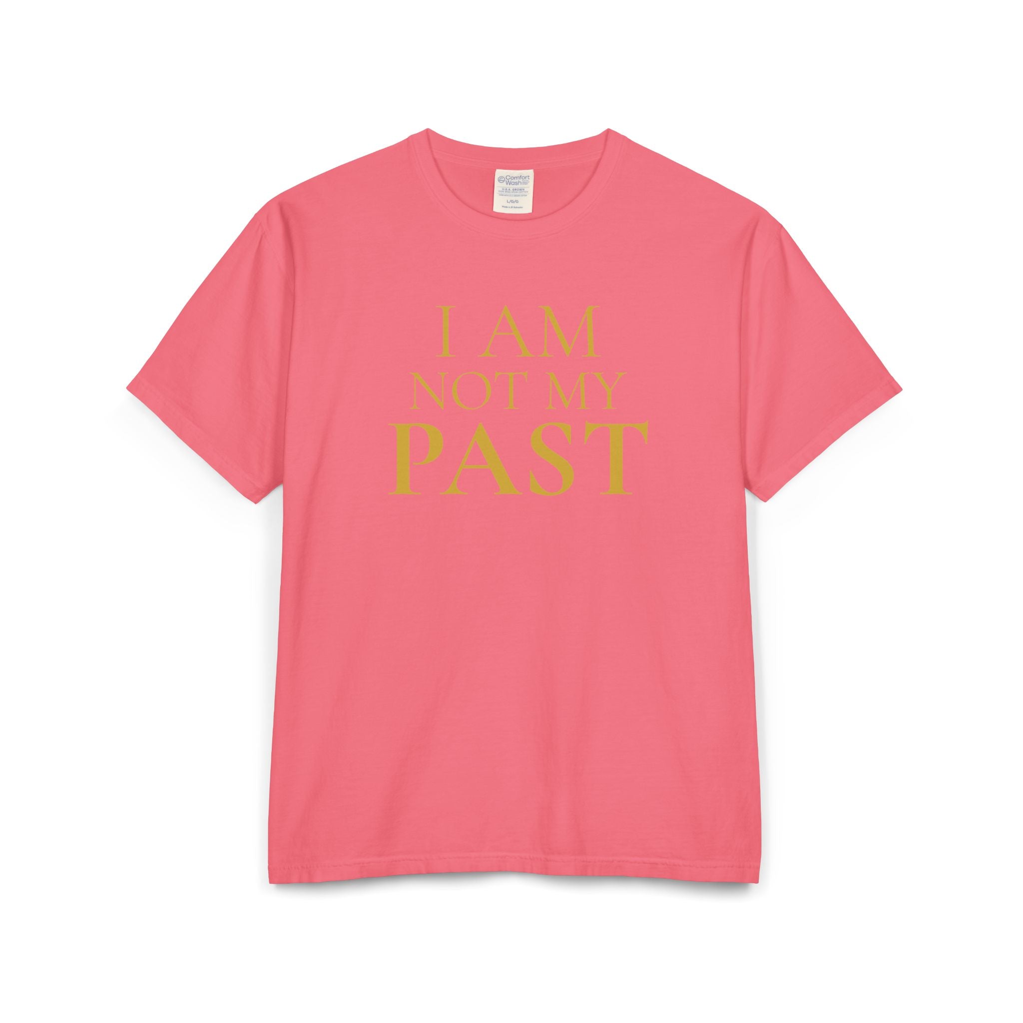 I AM NOT MY PAST | Unisex Garment-Dyed T-shirt